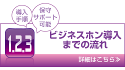 �r�W�l�X�z���@�摜