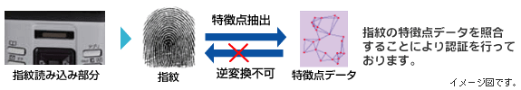 指紋認証　画像