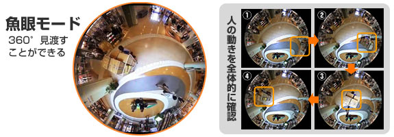 360°全方位ネットワークカメラ ネットワークカメラ 画像